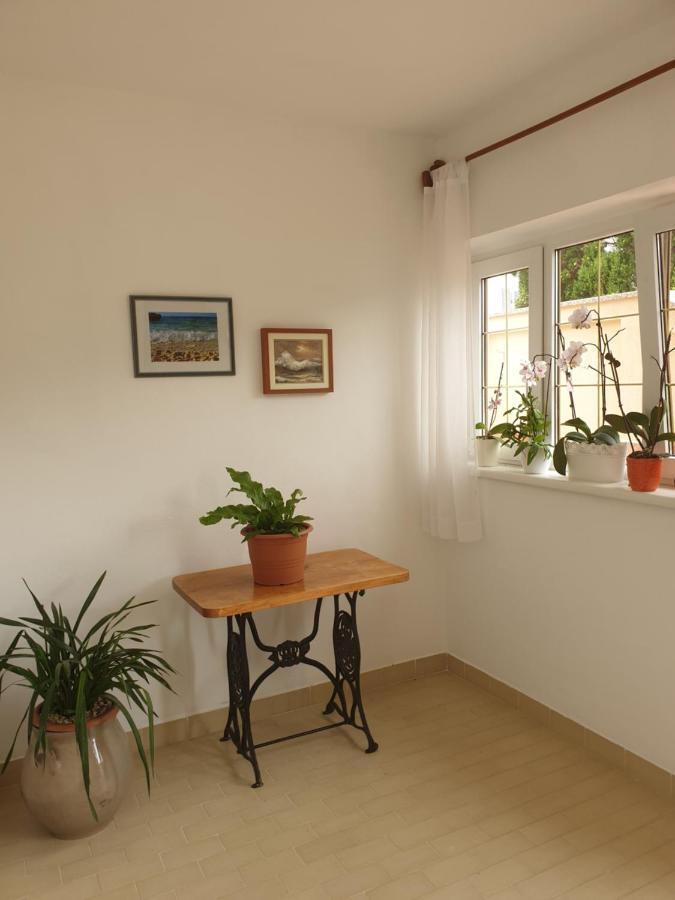 Apartments Davorka Banjol Екстериор снимка